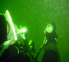 Diveguide Sandy